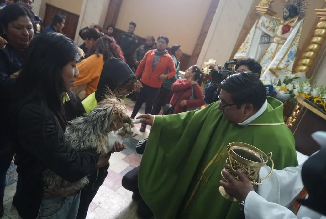 San Roque 15